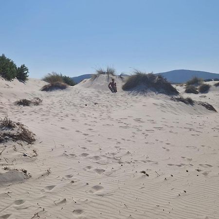 SantʼAnna Arresi Casa Vacanza Mamaioa מראה חיצוני תמונה