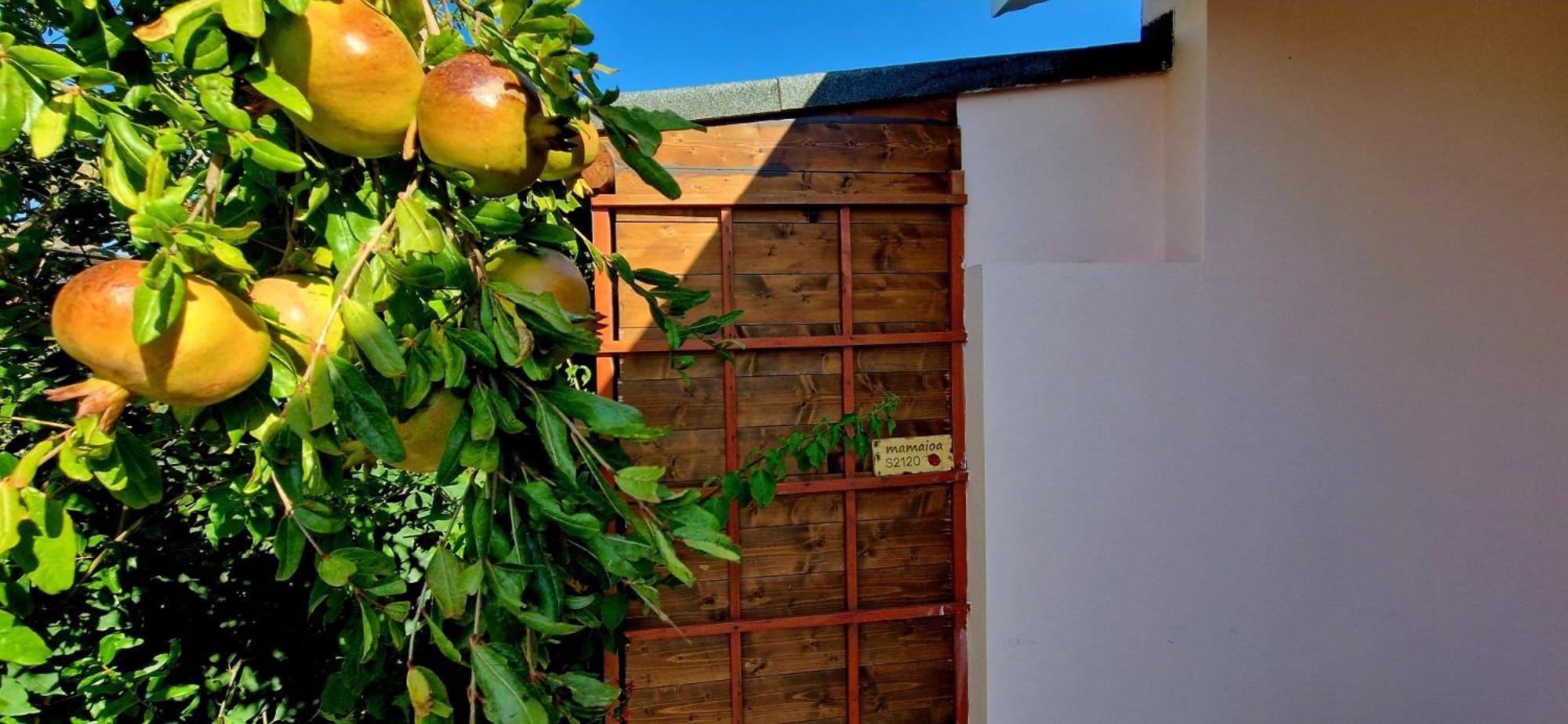 SantʼAnna Arresi Casa Vacanza Mamaioa מראה חיצוני תמונה